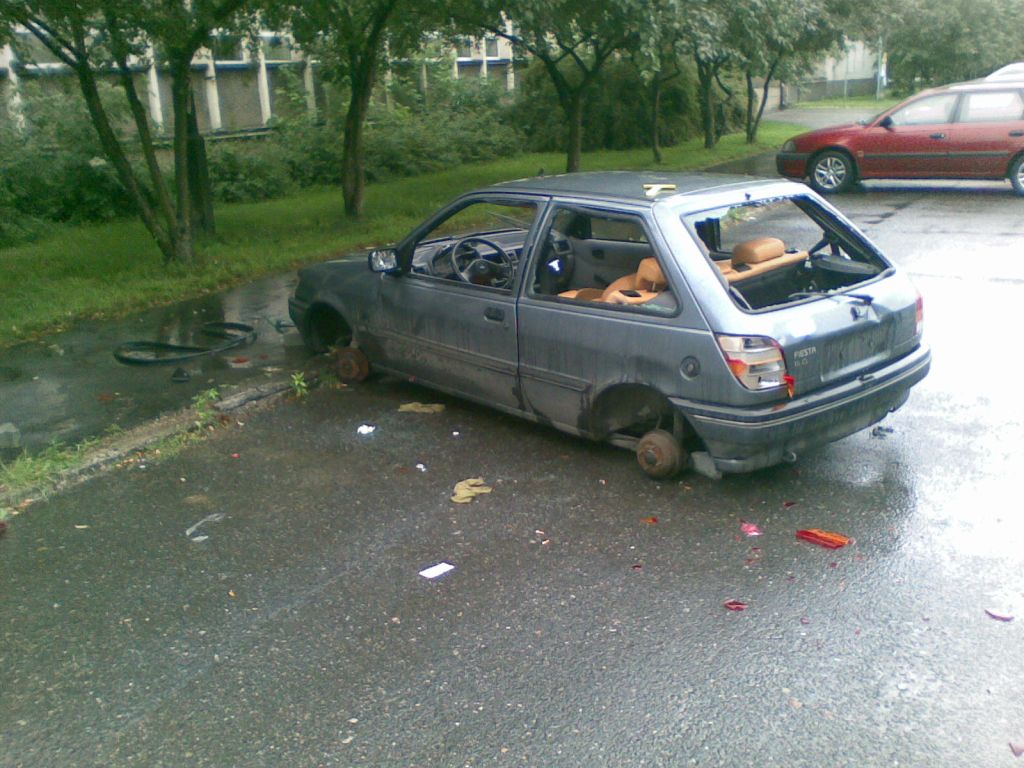 20090613.jpg