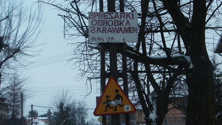 CAM_0331a.JPG